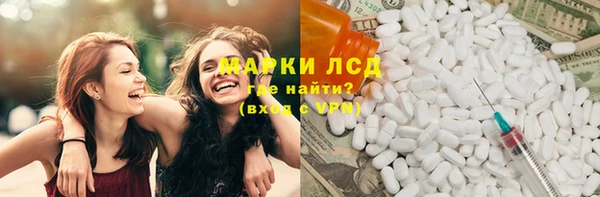 прущие грибы Абинск