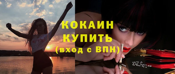 прущие грибы Абинск