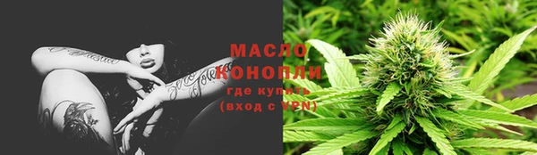 прущие грибы Абинск