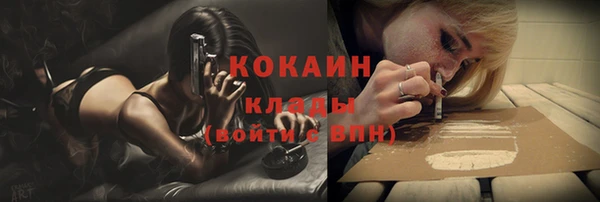прущие грибы Абинск