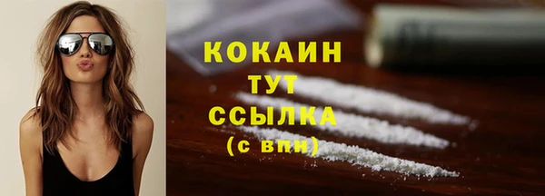 прущие грибы Абинск
