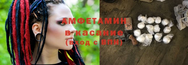 прущие грибы Абинск