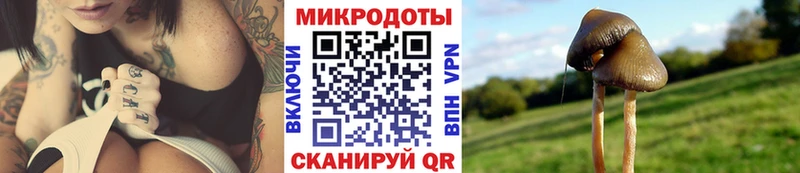 mega вход Каменск-Шахтинский Галлюциногенные грибы Cubensis